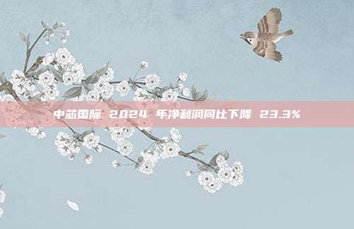 中芯国际 2024 年净利润同比下降 23.3%