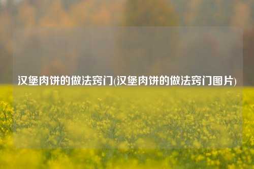 汉堡肉饼的做法窍门(汉堡肉饼的做法窍门图片)