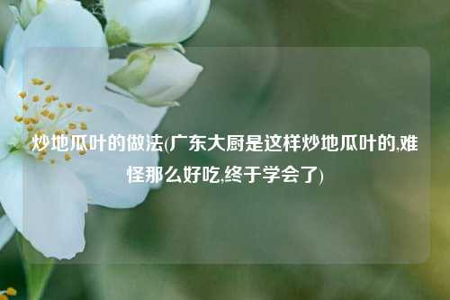 炒地瓜叶的做法(广东大厨是这样炒地瓜叶的,难怪那么好吃,终于学会了)