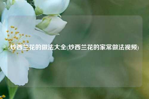 炒西兰花的做法大全(炒西兰花的家常做法视频)