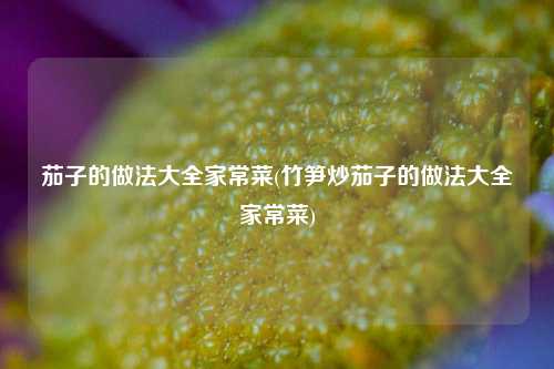 茄子的做法大全家常菜(竹笋炒茄子的做法大全家常菜)