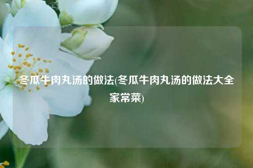 冬瓜牛肉丸汤的做法(冬瓜牛肉丸汤的做法大全家常菜)