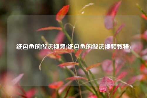 纸包鱼的做法视频(纸包鱼的做法视频教程)