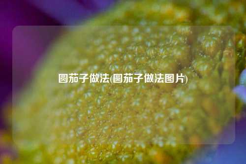 圆茄子做法(圆茄子做法图片)
