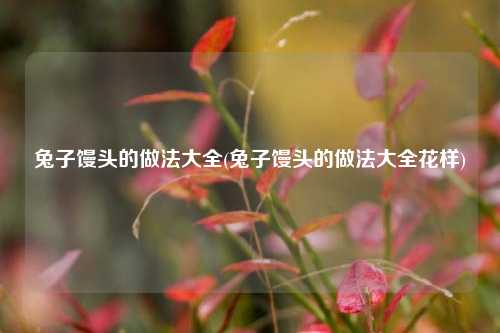 兔子馒头的做法大全(兔子馒头的做法大全花样)