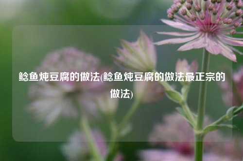 鲶鱼炖豆腐的做法(鲶鱼炖豆腐的做法最正宗的做法)