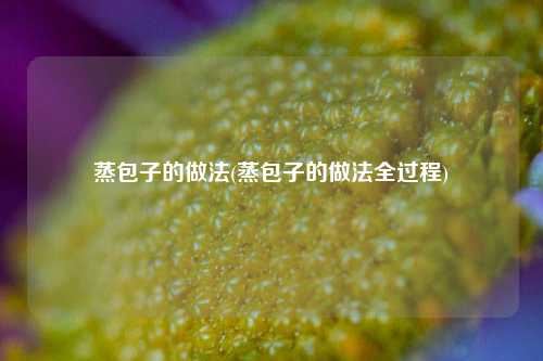 蒸包子的做法(蒸包子的做法全过程)