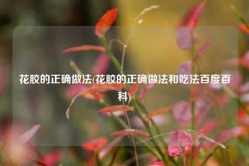 花胶的正确做法(花胶的正确做法和吃法百度百科)