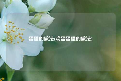 蛋堡的做法(鸡蛋蛋堡的做法)