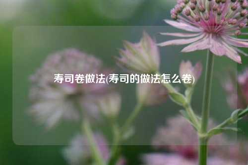 寿司卷做法(寿司的做法怎么卷)