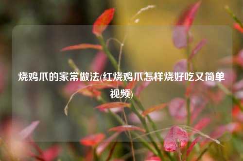 烧鸡爪的家常做法(红烧鸡爪怎样烧好吃又简单视频)