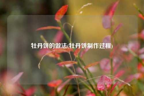 牡丹饼的做法(牡丹饼制作过程)