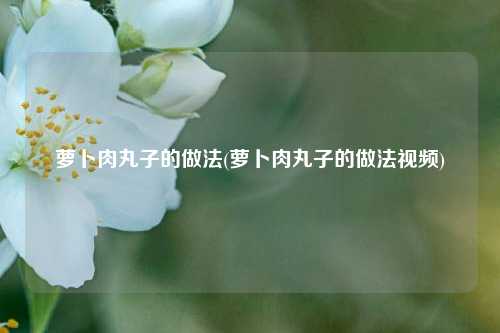 萝卜肉丸子的做法(萝卜肉丸子的做法视频)