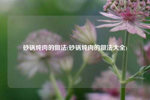 砂锅炖肉的做法(砂锅炖肉的做法大全)